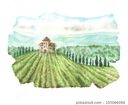 Watercolor illustration. Landscape with green vineyards and a house on a hill. European village in summer.Isolated on a white.Field with grapevine in Tuscany, Italy.Growing grapes for wine production 105066098