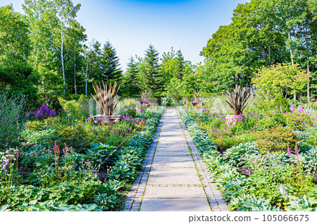 北海道Ecorin村風景 北海道Ecorin村風景 105066675