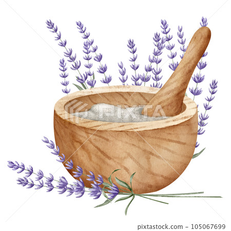 Mortar and pestle with Lavender Flowers. Hand drawn watercolor illustration for alternative medicine or essential oil production on white isolated background. Vintage drawing for aromatherapy label. Mortar and pestle with Lavender Flowers. Hand drawn watercolor illustration for alternative medicine or essential oil production on white isolated background. Vintage drawing for aromatherapy label. 105067699