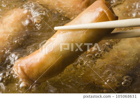 fry spring rolls fry spring rolls 105068631