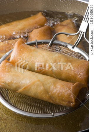 fry spring rolls fry spring rolls 105068633