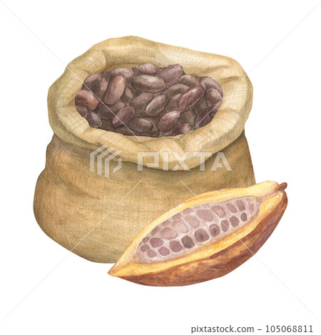 Watercolor illustration of canvas bag for cereals, seeds, flour, powder with cocoa seeds with cut cocoa fruit. Isolated hand drawn illustration Watercolor illustration of canvas bag for cereals, seeds, flour, powder with cocoa seeds with cut cocoa fruit. Isolated hand drawn illustration 105068811