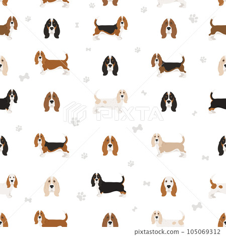 Basset hound seamess pattern. Different coat colors and poses set. 105069312
