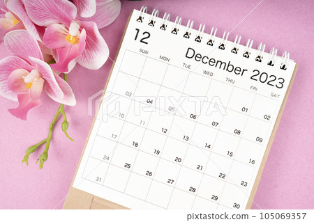The December 2023 calendar desk and pink orchid on pink color background. The December 2023 calendar desk and pink orchid on pink color background. 105069357
