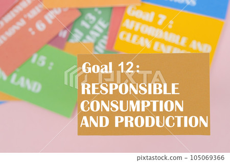 The Goal 12 105069366