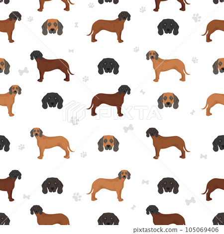 Bavarian mountain scent hound seamless pattern. Different coat colors and poses set Bavarian mountain scent hound seamless pattern. Different coat colors and poses set 105069406