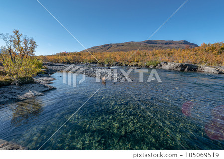Autum Abisko Canyon River Abiskojakka National Park, Norrbottens, Norrbottens Lapland landscape north of Sweden 105069519