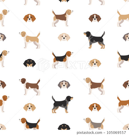Beagle seamless pattern. Different poses, Beagle puppy 105069557