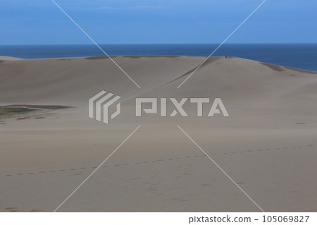 Tottori Sand Dunes Horse Back Tottori City, Tottori Prefecture 105069827