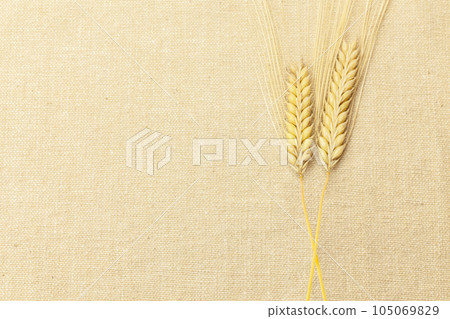 Barley Ear Linen Bag 105069829