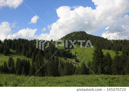 Walighuerli, small peak and green mountain meadow. Walighuerli, small peak and green mountain meadow. 105070720