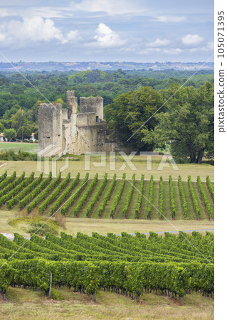 Budos castle (Chateau de Budos) in Sauternes wine region, Gironde departement, Aquitaine, France Budos castle (Chateau de Budos) in Sauternes wine region, Gironde departement, Aquitaine, France 105071395