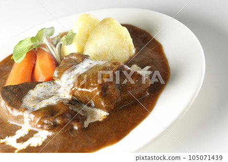 熱燉牛肉配西洋菜、胡蘿蔔、土豆裝飾和厚片牛舌,上面覆蓋著鮮奶油,在白色背景下拍攝 熱燉牛肉配西洋菜、胡蘿蔔、土豆裝飾和厚片牛舌,上面覆蓋著鮮奶油,在白色背景下拍攝 105071439