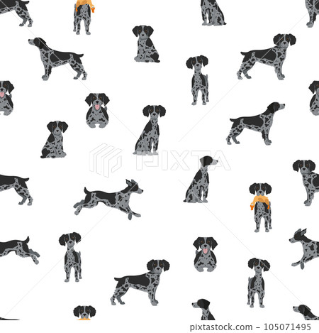 Brittany spaneil seamless pattern. Different poses set. Adult and puppy dogs infographic. 105071495