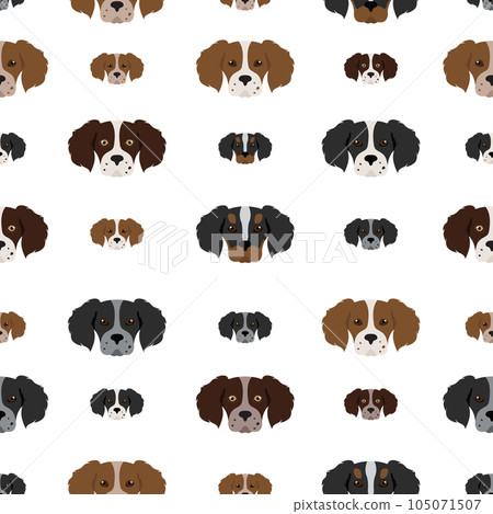 Brittany spaneil seamless pattern. Different poses set. Adult and puppy dogs infographic. Brittany spaneil seamless pattern. Different poses set. Adult and puppy dogs infographic. 105071507