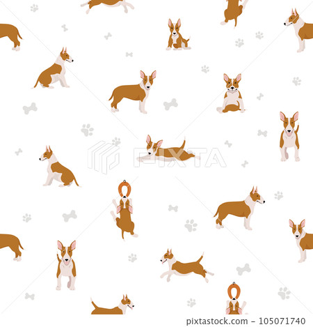 Bull terrier seamless pattern. Different poses, coat colors set. Bull terrier seamless pattern. Different poses, coat colors set. 105071740