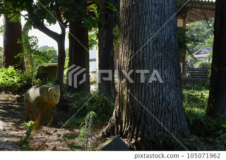 浪漫的茨城(在笠間市函田木村武山宅邸中建造的大日堂的入口處,有不是護衛犬的羊守護著。) 浪漫的茨城(在笠間市函田木村武山宅邸中建造的大日堂的入口處,有不是護衛犬的羊守護著。) 105071962