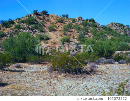 Film Image Sonora Desert Arizona Film Image Sonora Desert Arizona 105072212