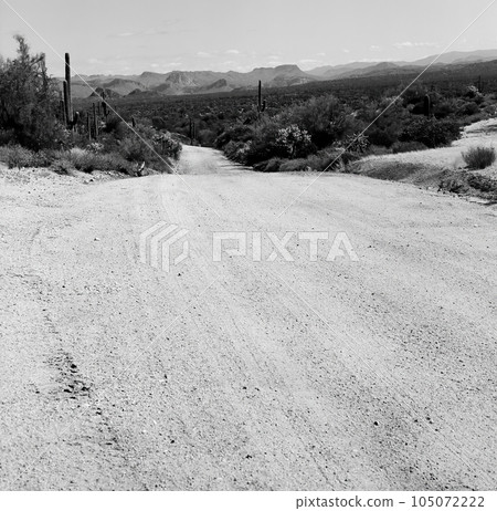 Film Image Sonora Desert Dirt Road Arizona Monochrome Film Image Sonora Desert Dirt Road Arizona Monochrome 105072222