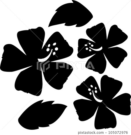 Hibiscus 105072976