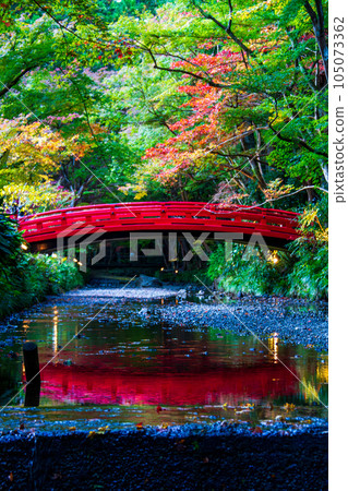 靜岡縣守知郡森町一宮市 奧國神社及其轄區 105073362