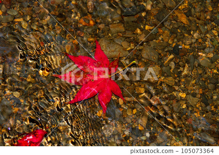 靜岡縣守知郡森町一宮市 奧國神社及其轄區 105073364