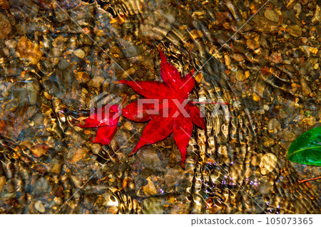 Ichinomiya, Mori-machi, Shuchi-gun, Shizuoka Prefecture Okuni Shrine and its precincts 105073365