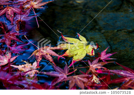 靜岡縣守知郡森町一宮市 奧國神社及其轄區 105073528