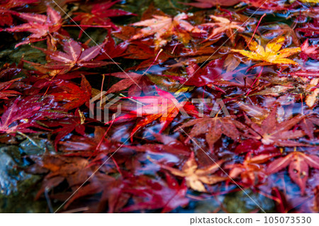 Ichinomiya, Mori-machi, Shuchi-gun, Shizuoka Prefecture Okuni Shrine and its precincts Ichinomiya, Mori-machi, Shuchi-gun, Shizuoka Prefecture Okuni Shrine and its precincts 105073530