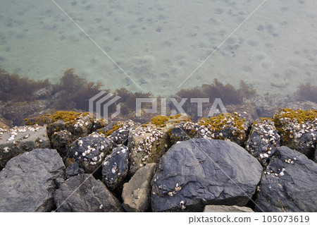 若松區北海岸脅田漁港周邊的風景 105073619