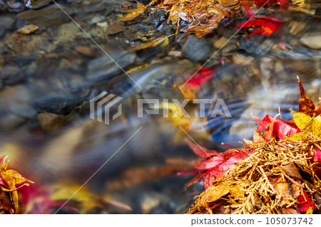 Ichinomiya, Mori-machi, Shuchi-gun, Shizuoka Prefecture Okuni Shrine and its precincts 105073742