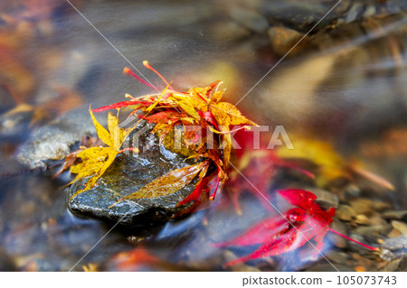 Ichinomiya, Mori-machi, Shuchi-gun, Shizuoka Prefecture Okuni Shrine and its precincts 105073743