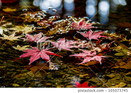 Ichinomiya, Mori-machi, Shuchi-gun, Shizuoka Prefecture Okuni Shrine and its precincts 105073745