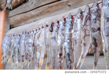 salted fish, dried fish dries in the sun, beer appetizer, dried fish 105075372