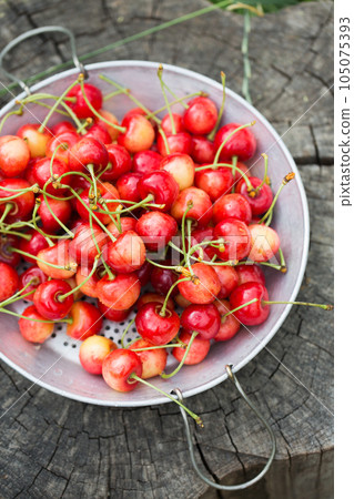 A sweet cherries in a metal sieve on a wooden stump A sweet cherries in a metal sieve on a wooden stump 105075393