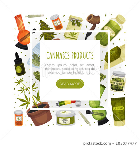 Cannabis or Hemp Drug Banner Design Vector Template Cannabis or Hemp Drug Banner Design Vector Template 105077477