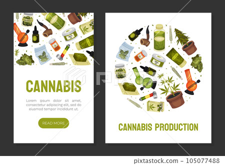Cannabis or Hemp Drug Banner Design Vector Template Cannabis or Hemp Drug Banner Design Vector Template 105077488
