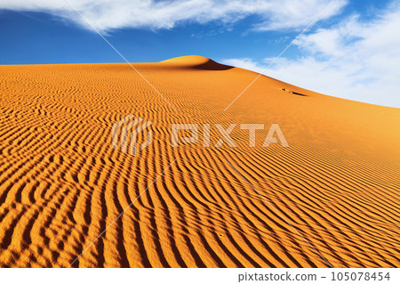 Dunes of Sahara Desert 105078454