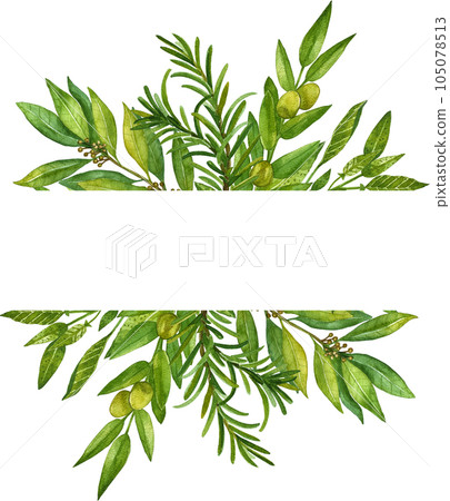 Watercolor herb illustration. A bunch of fresh culinary and medicinal herbs. Floral design for wedding invitations, greeting cards, prints, postcards, social media posts. Sage, rosemary, thyme, basil. Watercolor herb illustration. A bunch of fresh culinary and medicinal herbs. Floral design for wedding invitations, greeting cards, prints, postcards, social media posts. Sage, rosemary, thyme, basil. 105078513