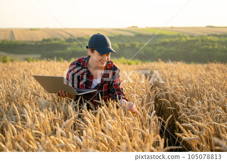 Woman farmer working with laptop on wheat field. Smart farming and digital agriculture Woman farmer working with laptop on wheat field. Smart farming and digital agriculture 105078813
