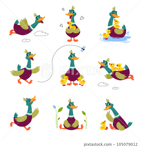 Funny Dabbling Duck Character Engaged in Different Activity Vector Set 105079012