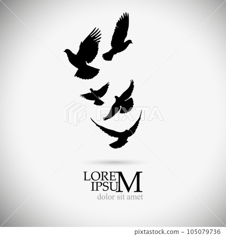 A flock of flying birds. Vector illustration A flock of flying birds. Vector illustration 105079736