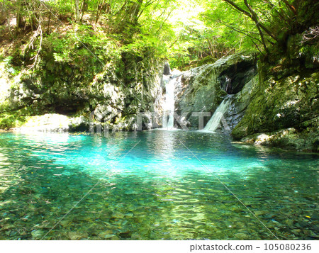 Shindojidani Kamataki 105080236