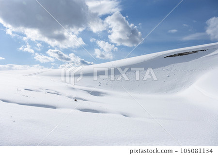雪鞋徒步旅行的形象 鳥取沙丘的雪景 雪鞋徒步旅行的形象 鳥取沙丘的雪景 105081134
