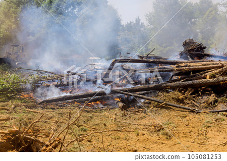 Preparation land for construction by burning downed trees in preparation for construction 105081253