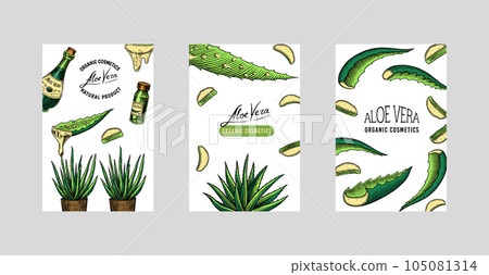 Aloe vera poster or banner. Sketch of Plant and... - Stock Illustration  [105081314] - PIXTA