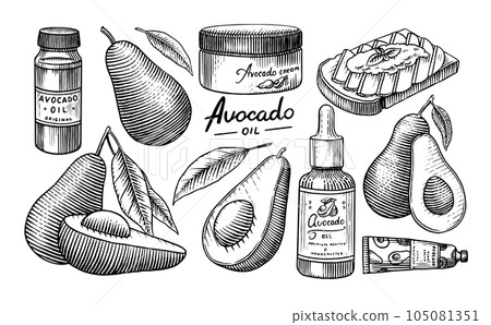 Tropical avocado. Set of evergreen fruit plant. Cosmetics for skin care. Organic oil in the bottle 105081351