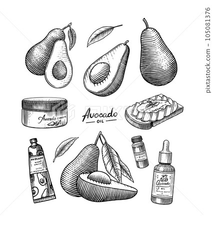 Tropical avocado. Set of evergreen fruit plant. Cosmetics for skin care. Organic oil in the bottle 105081376