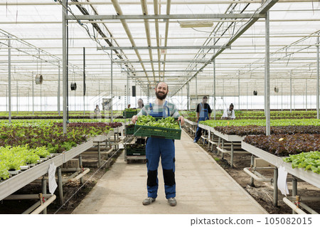 Happy farmer in busy modern entrepreneurial eco greenhouse farm used for growing local healthy eco food. Energy efficient regenerative agriculture using pesticide free soil fertilizer Happy farmer in busy modern entrepreneurial eco greenhouse farm used for growing local healthy eco food. Energy efficient regenerative agriculture using pesticide free soil fertilizer 105082015