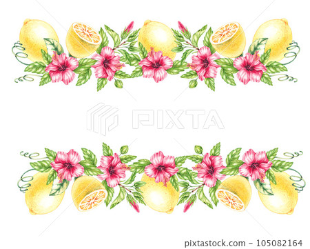 Watercolor Lemon and Hibiscus Flowers Frame 105082164